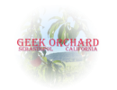 Geek Orchard