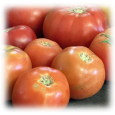 2 Pounds Slicer Tomatoes