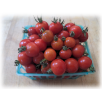 1 Pound Sungold Cherry Tomatoes