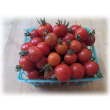 1 Pound Sungold Cherry Tomatoes